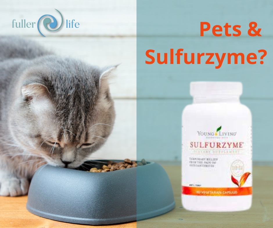 Sulfurzyme and pets - Fuller Life Wellness